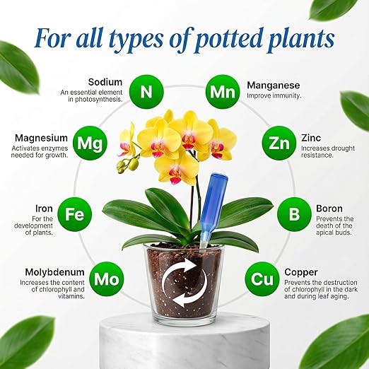 All-Purpose Liquid Plant Food Fertilizer (6-Pack) | Concentrated Nutrient Solution for Indoor & Outdoor Plants | Bloom Booster Nutrient Solution for Vibrant Growth & Strong Roots | Made in The USA