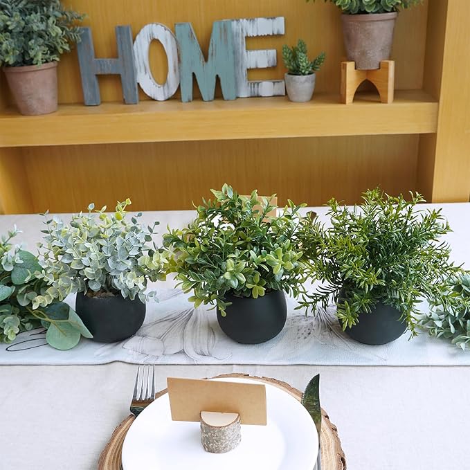 Winlyn Set of 3 Small Potted Faux Plants 8" Artificial Eucalyptus Rosemary Boxwood Plants in Black Concrete Pot Desk Plants for Home Office Bathroom Kitchen Counter Shelf Coffee Table Windowsill Décor