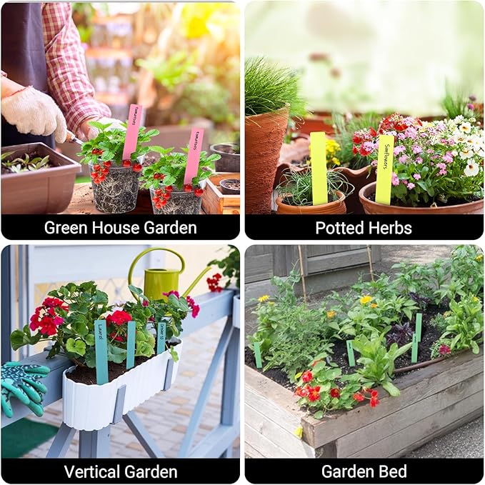 Greaner 50PCS Plant Labels, Colorful Garden Plant Markers, plants Markers for Outdoor Garden Waterproof, Herb Garden Markers for Indoor Outdoor plants for Plants, Seeds, Fruit Trees and Flowers-8 Inch