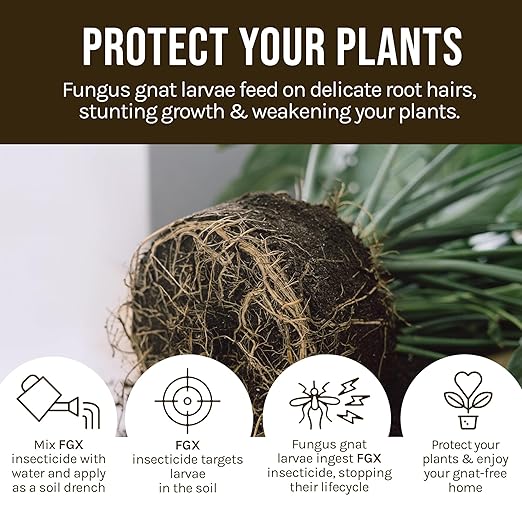 Microbe-Life Hydroponics FGX Fungus Gnat Killer, Natural BTi Pest Control for Plants, Indoor Plant Pest Control to Get Rid of Gnats in Houseplants, Safe for Pets & People, 1 Gallon