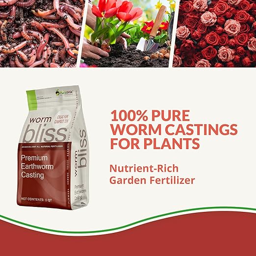 Worm Bliss (1 Qt) + Myco Bliss Powder (200 g) - Mycorrhizal Fungi Inoculant & Organic Worm Castings for Plants - Mycorrhizae for Plants - Earthworm Castings Organic Fertilizer - Mycorrhizal Inoculant