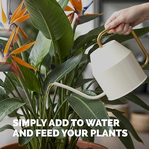 Bird of Paradise Fertilizer – Liquid Plant Food for Bigger Tropical Leaves, Stronger Roots & Healthy Upright Growth, 1 Gallon
