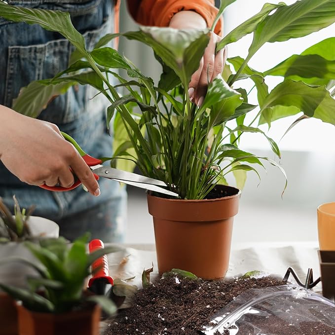 Doter Organic Peace Lily Soil Mix 4qt, Indoor Plants Potting Mix for Planting, Growing, or Repotting Peace Lily Plants, Grow Healthy houseplants Indoors