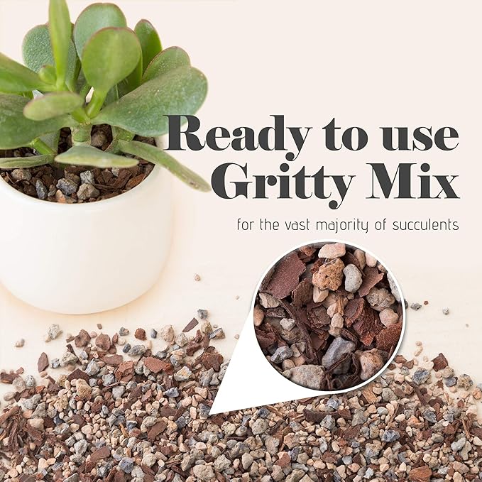 Bonsai Jack Succulent, Cactus and Bonsai Soil - Jacks Gritty Mix - 12 Gallons – Fast Draining – Fight Root Rot – Optimized pH