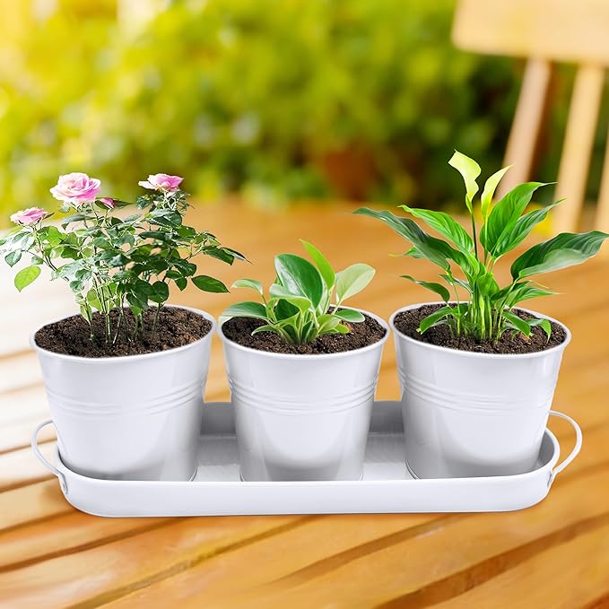 TCBWFY Indoor Herb Garden Planter Set - 3 Pack 4.7" White Metal Plant Pots with Drainage Holes & Removable Tray - Windowsill Kitchen Counter Balcony Office Garden