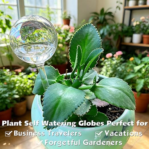 Clear Rainbow Glass Plant Automatic Watering Bulb, 4pcs Garden Flower Self Watering Planter Inserts, Automatic Plant Waterer System Set Self Watering Spikes to Support Plant Health