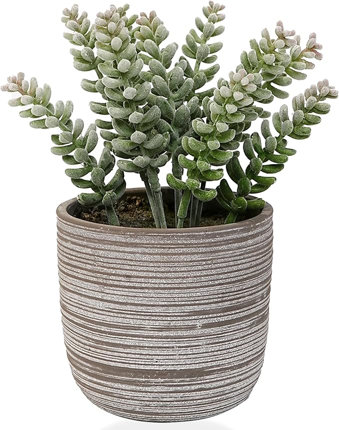 Jahe Artificial Plants Indoor, Home Decor Faux Plants Indoor in Cement Bowl Faux Realistic Greenery Potted Plant for Office Desk Bathroom Livingroom Boho Shelves Decoration, Table Centerpieces