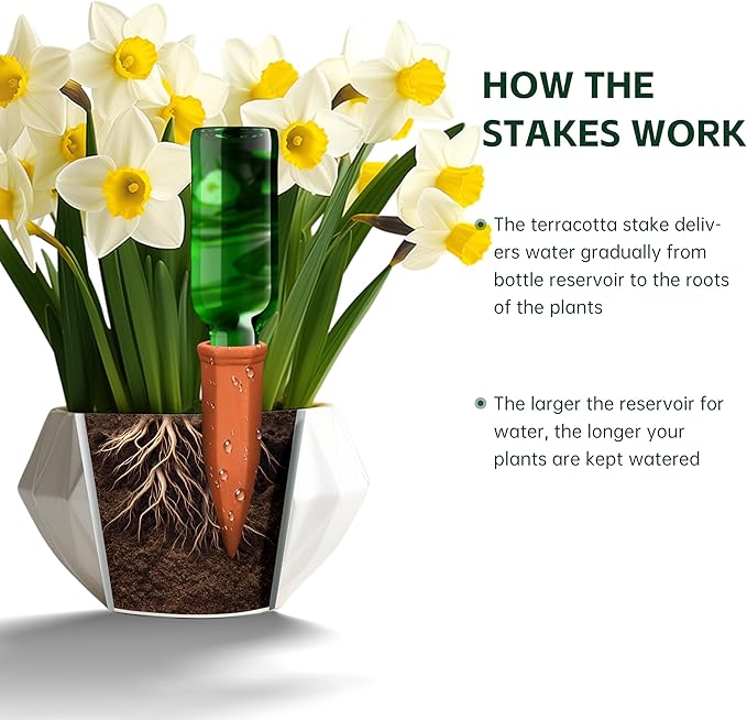 Soilagua Wine Bottle Watering Spikes, Terracotta Watering Spikes for Out | Indoor Plants, Self Watering Planter Insert, Vacation Plant Watering Devices, Clay Plant Watering Globes, 8-Pack
