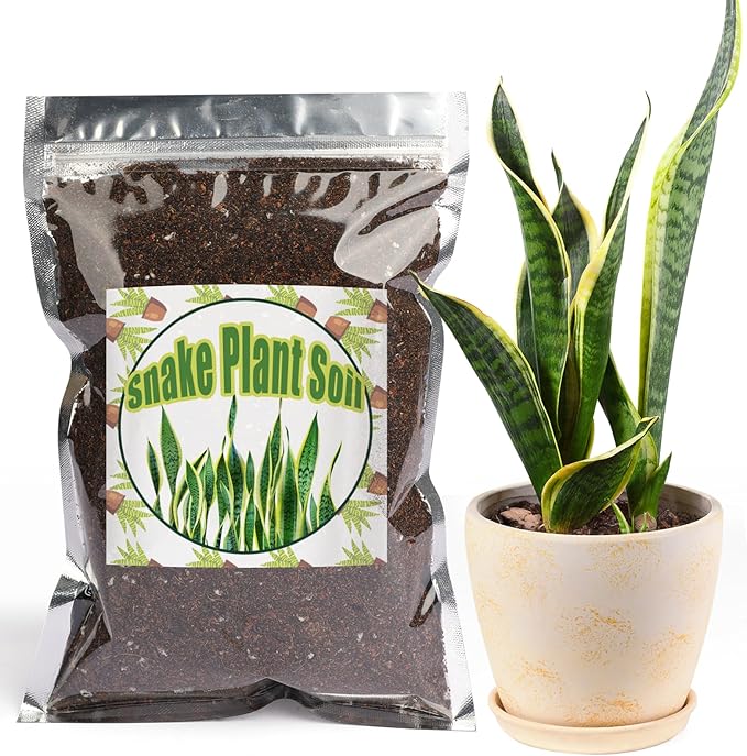 Doter Premium Snake Plant Soil Mix 4qt, Indoor Plants Potting Mix for All Potted Snake Plants, Promote Healthy Growth and Easy Care