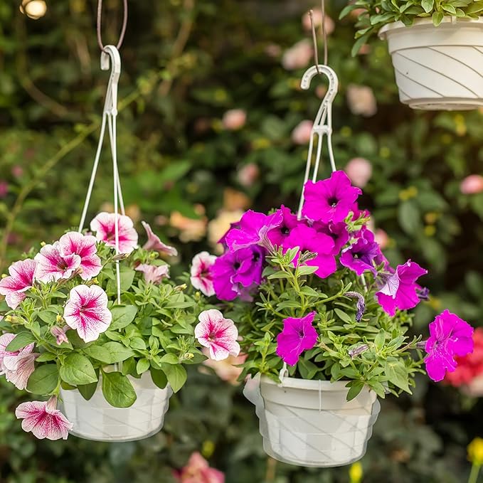 Baderke 12 Pcs Hanging Plant Water Catcher Tray Includes 4 Pcs Clear Plastic Plant Saucer Drip Pans for Indoor Outdoor Hanging Basket Flower Pot(8 10 12 Inch)