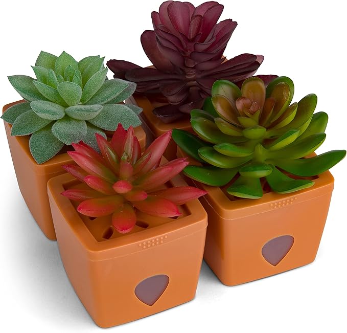 ZendoZones Succulent Fruit Fly Trap – Mellow Molly Design with Terracotta Base – Eco-Friendly Indoor Fruit Fly Control – Easy-to-Use Decorative Trap