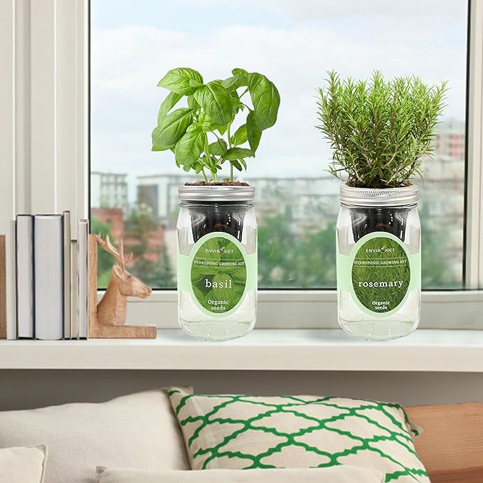 2-Pack Hydroponic Mason Jar Herb Garden Kit, Indoor Herb Garden Self-Watering Starter Kit, New Christmas Gift for Mom (Cilantro,Mint)
