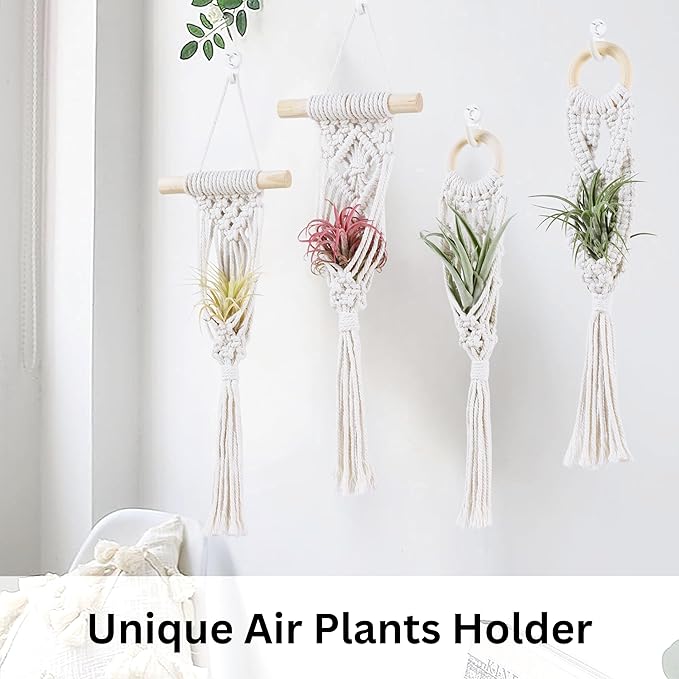 4 Pack Air Plants Holders, Wall Planters for Indoor Plants | Macrame Plant Hanger, Air Plant Hanger for Air Fern, Tillandsias (for Air Plant, NO Plant Included)