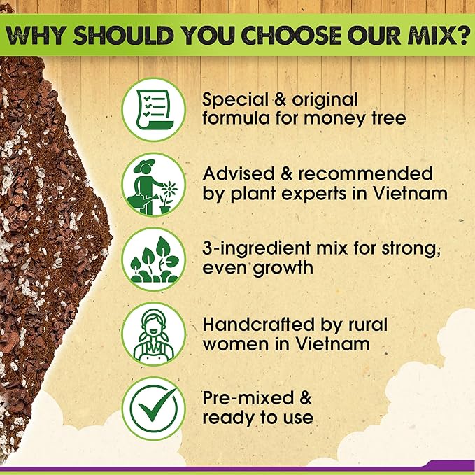 DUSPRO Recycle Money Tree Soil Indoor, Premium Coco Coir Perlite Mix and Pine Bark for Money Tree, Ideal Money Tree Soil for Healthy Growth and Nourishment (6 Quarts)
