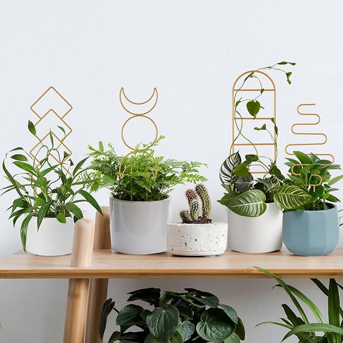 Wellsign Indoor Plant Trellis for Potted Plants, 16inch Gold Small Trellis for Climbing Plants Outdoor Garden Metal Trellis with Different Patterns for Vine Ivy Flower Plant Support 4 Pack