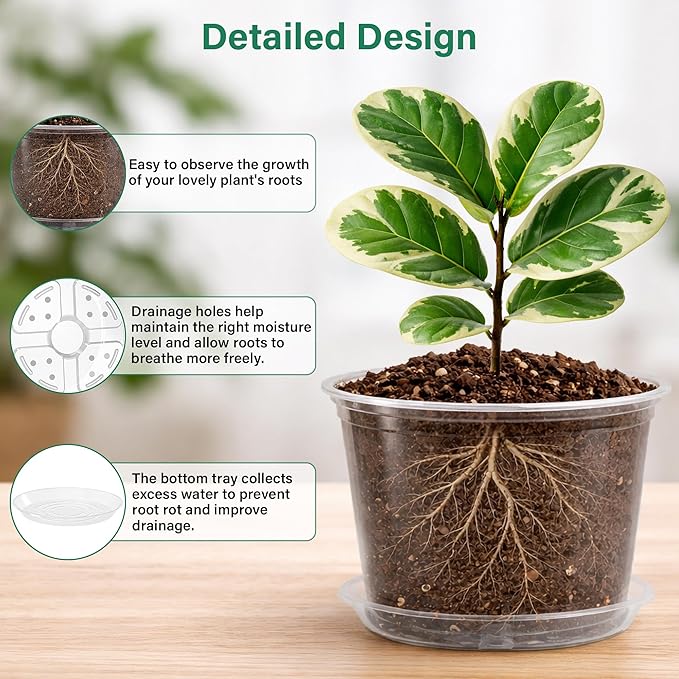 Bluepro 8 Packs 8 Inch Reinforced Large Clear Nursery Pots with Saucers, Transparent Plastic Plant Pot Seedling Planter with Drainage Holes for Vegetable Propagation, Root Cutting, Seed Starting