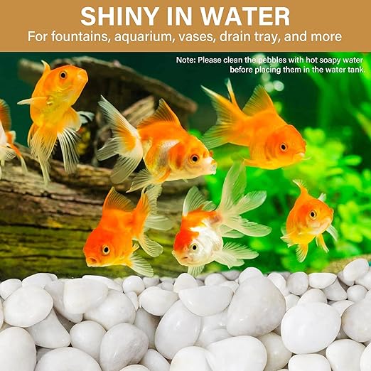 NUPICK 6lb White River Rocks for Plants Indoor, 2-3Inch White Pebbles for Vases Fillers, Decorative Gravel for Fish Tank, Natural Polished Stones for Succulent, Bonsai, Landscaping, Bird Baths