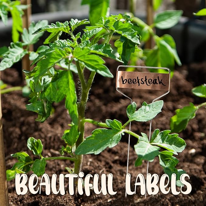 Metal Plant Labels for Garden, Pack of 25 pcs Waterproof Markers Excellent for Outdoor Use, 10"