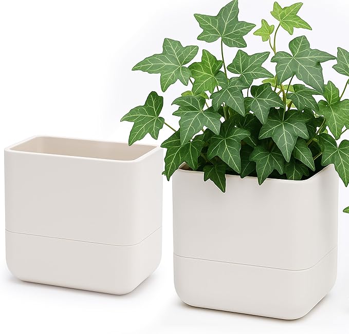 Phoenix Vine 6.5 Inch Wall Mounted Self-Watering Planter Pot for Indoor Houseplants and Herbs | Hanging Planter for Window Sills, Bathroom Walls, Home & Office Décor, Oatmeal, Set of 2, 01-C-G-2