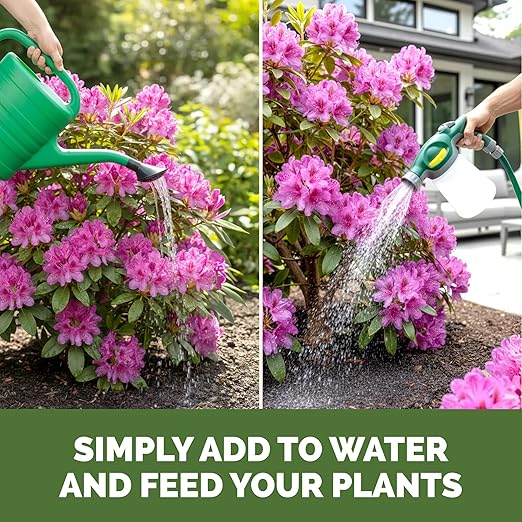 Azalea Fertilizer – Liquid Plant Food for Vibrant Blooms, Rich Green Leaves & Stronger Roots, 32 oz