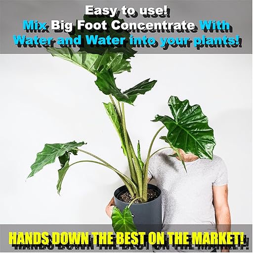 Big Foot Mycorrhizae for Plants, Potted Plants and Gardens - Concentrate Fully Dissolves in Water, Year Round Organic Fertilizer for Root Growth and Healthy Soil - 4 Ounces