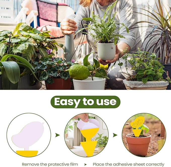 Qualirey 200 Sheets Fruit Fly Sticky Traps for Fruit Fly Gnat Trap for House Indoors Sticky Traps Catcher for Gnats Fungus Gnats Mosquito Catcher Kitchen Outdoor Plants (Fresh Style, Yellow, Green)