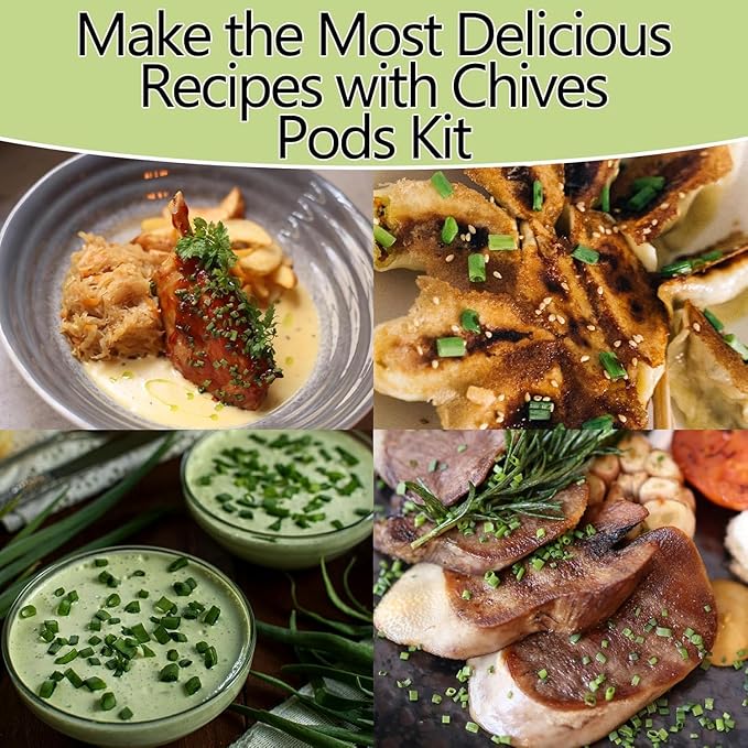Seed Pods for All Hydroponics Growing Systems, 12 Pods Herb Kit (Chives)