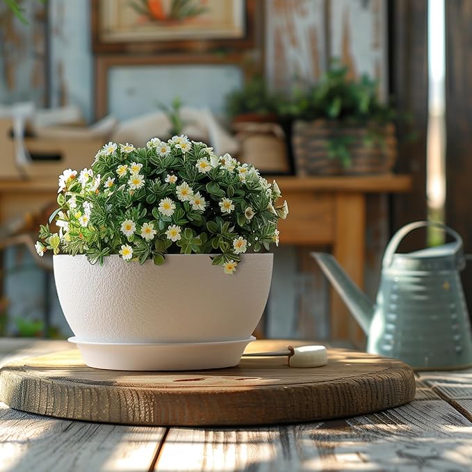 T4U 8 Inch Plant Pots 2 Pcs, Flower Pots for Plants, Plastic Planter Pots for Indoor Plants with Drainage Holes and Saucer (2 Pcs, 8", White)