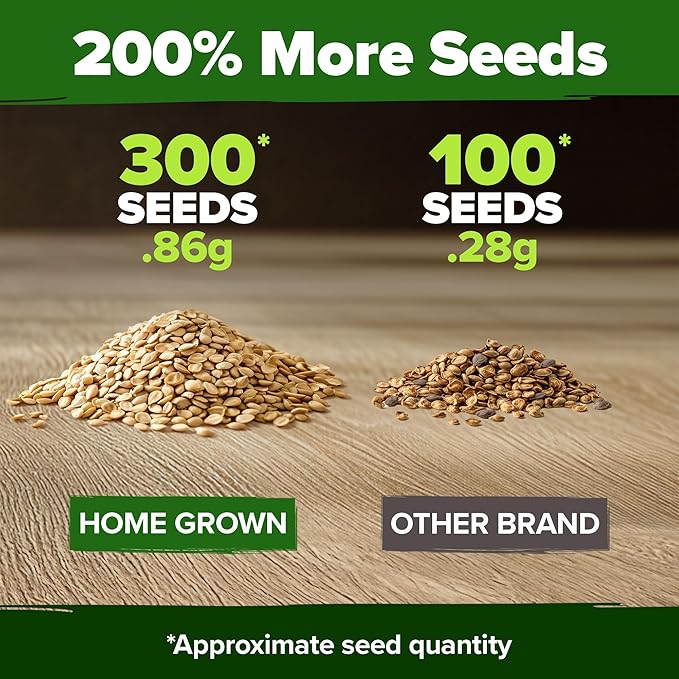 HOME GROWN Beefsteak Tomato Seeds 300+ Heirloom Non-GMO Seeds for Planting, High Germination, Indeterminate, Large Meaty Slicing Tomato, High Yield Summer Vegetable Garden (Solanum lycopersicum)