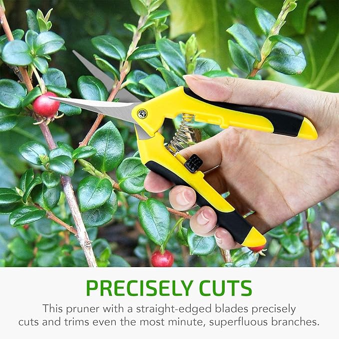 iPower 6.5 Inch Gardening Scissors Hand Pruner Pruning Shear with Straight Stainless Steel Blades, Yellow, 1-Pack