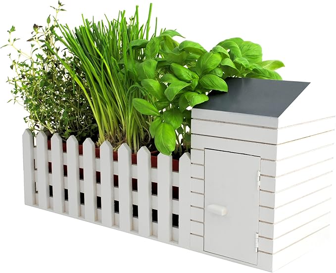 Oliphant Indoor Allotment Gift Set Herb Garden