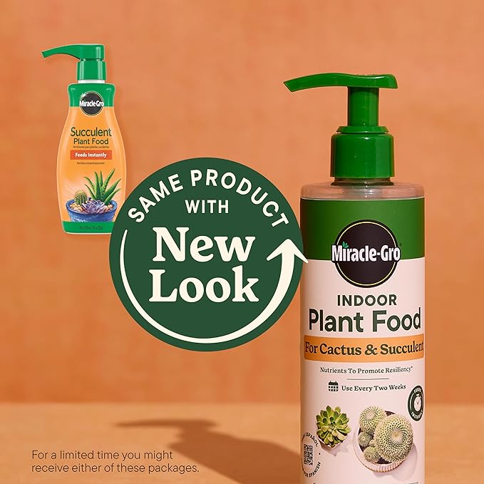 Miracle-Gro Indoor Plant Food for Cactus and Succulent, Liquid Plant Food for Indoor Succulents and Cactus, 8 fl. oz. (3-Pack)