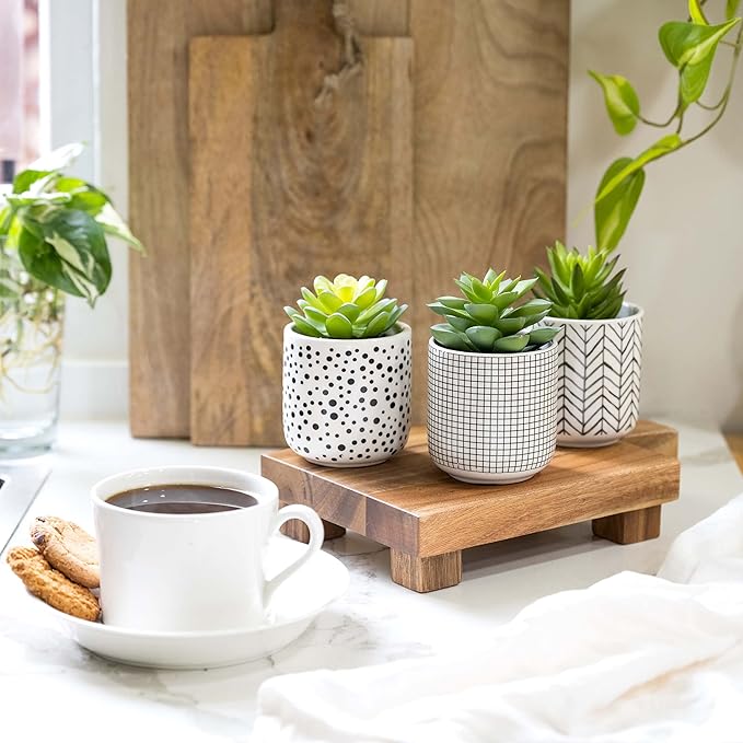 Kurrajong Farmhouse Artificial Succulents in pots | Set of 3 Black and White pots with Faux Succulents | Faux Plants Indoor | Fake Plants for Desk Decor | 4.75" high