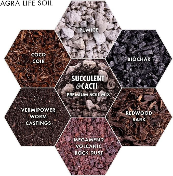 Premium Succulent Soil Mix for Indoor & Outdoor Plants - Fast-Draining Potting Soil for Succulents, Cacti, & Houseplants - Natural Blend with Pumice for Optimal Plant Growth - 4 Quarts