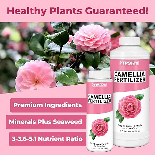 Camellia Fertilizer – Liquid Plant Food for More Blooms, Rich Green Leaves & Stronger Root Development, 32 oz