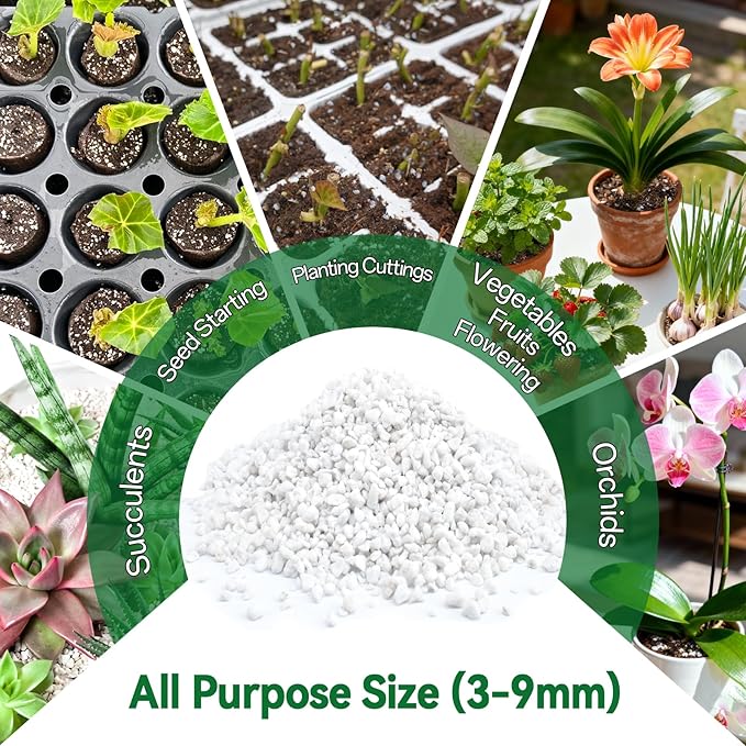 ZeeDix 3QT Organic Perlite Horticulture Soil Amendment for Plants, 3-9mm Granule Size Potted Plant Soil for Orchid Cactus Succulents Carnivorous Monstera Repotting, Indoor Outdoor Gardening