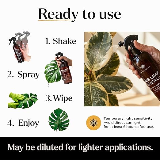 Neem Oil Spray for Plants – Big Leaf Energy, with Essential Oils – Ready-to-Use Plant Spray for Outdoor & Indoor Plants, Made in USA (16 fl oz)