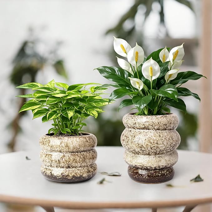 Ceramic 5 inch Plant Pot - Planter for Indoor Plants with Drainage Hole, Flower Pots for Orchid, Succulent,Outdoor Plants, Modern Glaze Planters for Home Office Decor Gift