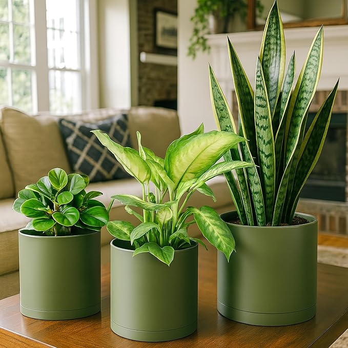 D'vine Dev 6 Inch 6.5 Inch 8 Inch, Set of 3 Plastic Planter Pots for Plants with Drainage Hole and Seamless Saucers, Olive, Medium, 74-V-I-3