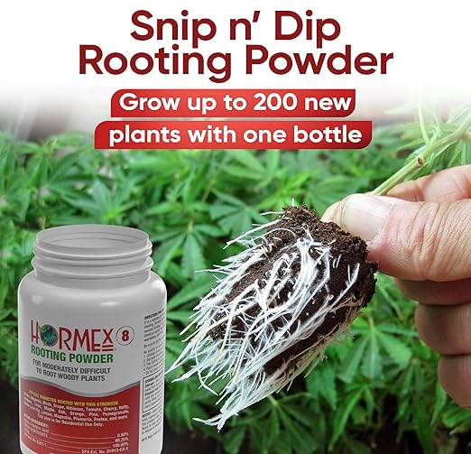 Hormex Rooting Hormone Powder #8 (0.80% IBA) for Semi-Hardwood Plants, Trees & Shrubs – High Strength Root Stimulator, Growth Hormone & Root Booster for Woody Cuttings, Cloning, & Propagation (2 Pack)