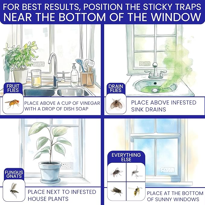 100 Window Fly Traps Sticky Non-Toxic Clear Fly Paper Indoor for Home. No Mess Flies Window Sticky Traps Bug Flies Strips Indoors. Fruit and Housefly Trap Indoor Flypaper Tape Gnat Catcher Killer.