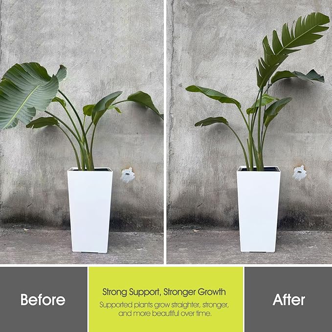 Plant Stakes for Indoor Plants, RIFNY 14 Inch Plant Support Stakes with Clips, Tall Adjustable Plant Sticks for Indoor Monstera Tomato Orchid Potted Plants Flower (10 PCS, Black)