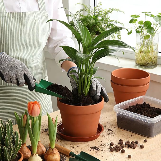 KOAMLY 6 PCS Clay pots and Plates, 5-inch red Clay pots with Drainage, Perfect for Indoor, windowsill, and Garden Plants