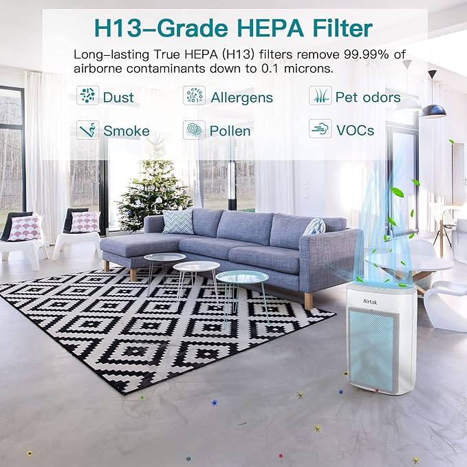 AIRTOK Air Purifier AP1002 Replacement Filter, H13 True HEPA