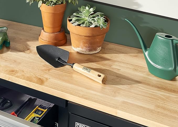 AMES 2446100 Tempered Steel Hand Trowel with Wood Handle, 13-Inch