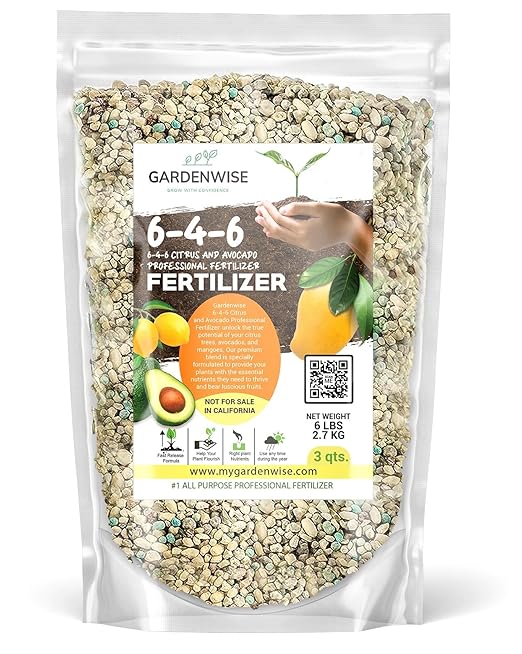 GARDENWISE Avocado & Citrus Tree Fertilizer for Indoor & Outdoor Plants | Quick-Release Nitrogen - Citrus Fertilizer (3 Quarts)