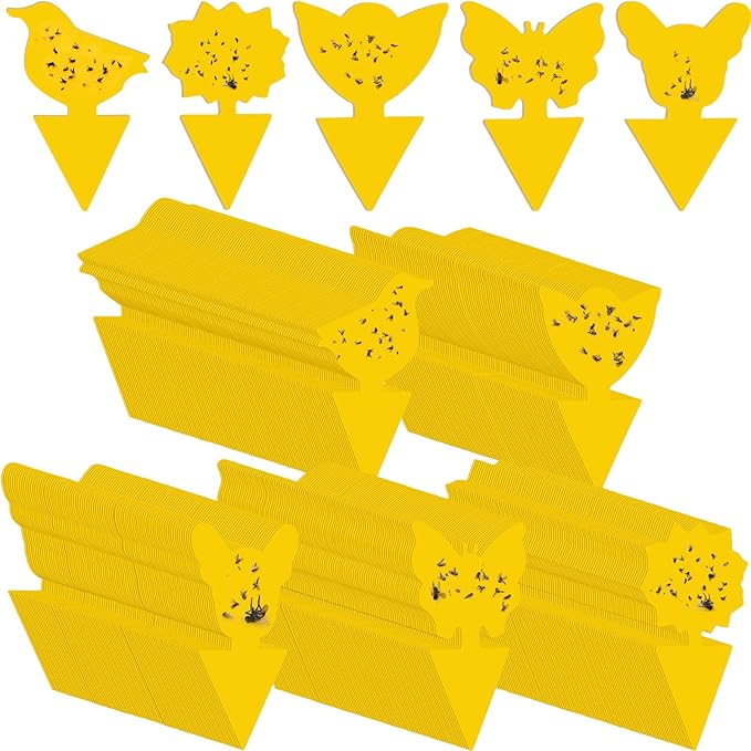 Qualirey 50 Sheets Fruit Fly Sticky Traps for Fruit Fly Gnat Trap for House Indoors Sticky Traps Catcher for Gnats Fungus Gnats Mosquito Catcher Kitchen Outdoor Plants(Classic Style, Yellow Color)