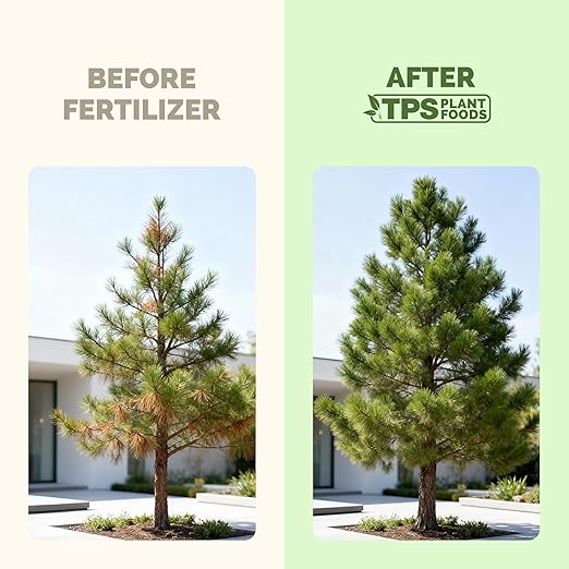 Tree Fertilizer – Liquid Plant Food for Stronger Roots, Fuller Foliage & Healthy Tree Growth, 1 Gallon