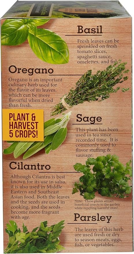 Herb Indoor Kitchen Window Garden Terrarium Starter Kit - Grow Your Own Basil, Oregano, Rosemary Sage, Cilantro, & Parsley - Includes Soil, Seeds & Complete Supplies - Unique Indoor House Plants