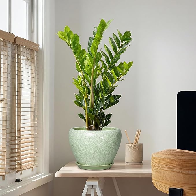 10 Inch Planter - Ceramic Plant Pots for Indoor Outdoor Plants, Indoor Pots for Plants with Drainage Hole and Saucer, Round Planter, Room Decor, Gifts for Plant Lovers, Crackle Light Green